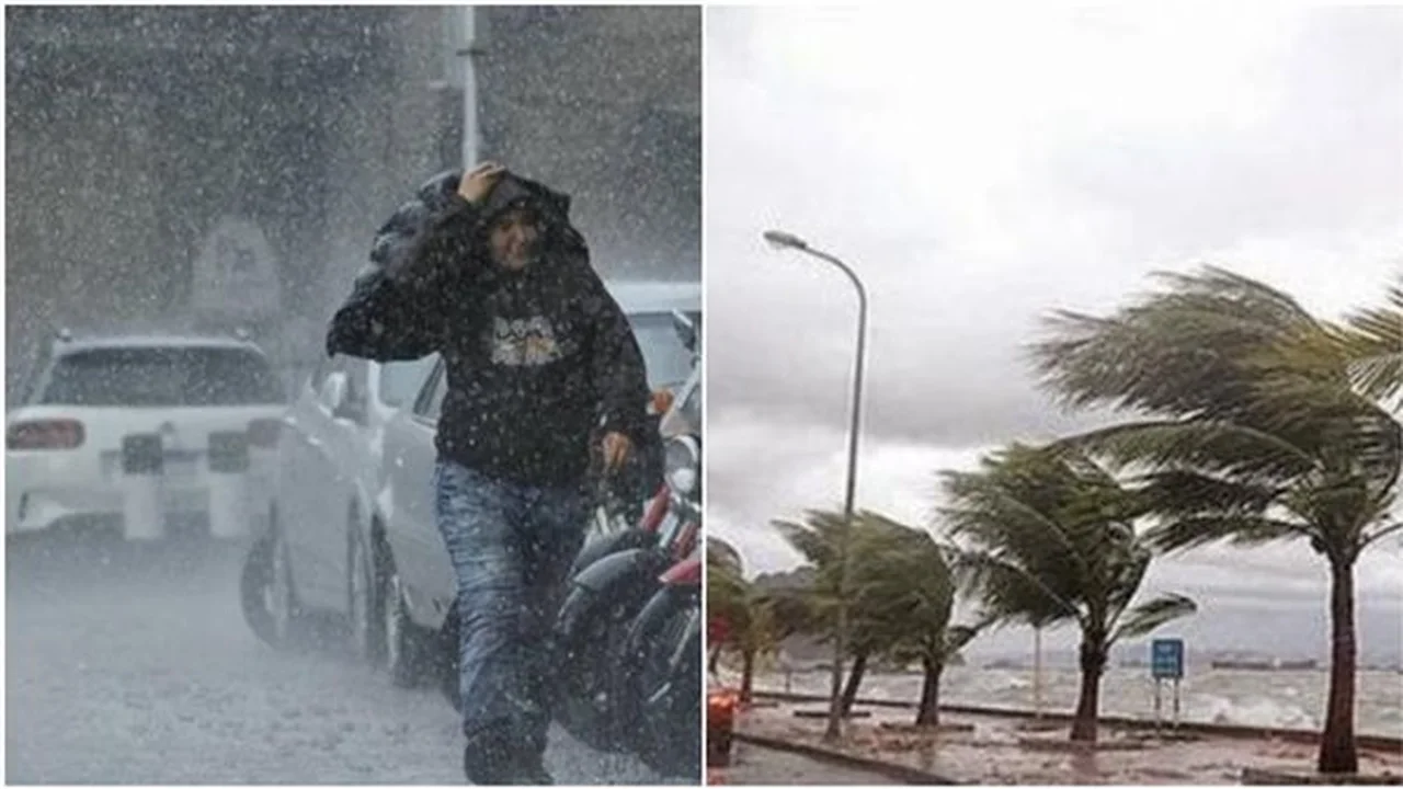 الأرصاد تحذر من تقلبات جوية تضرب مصر وموعد انخفاض درجات الحرارة المتوقع